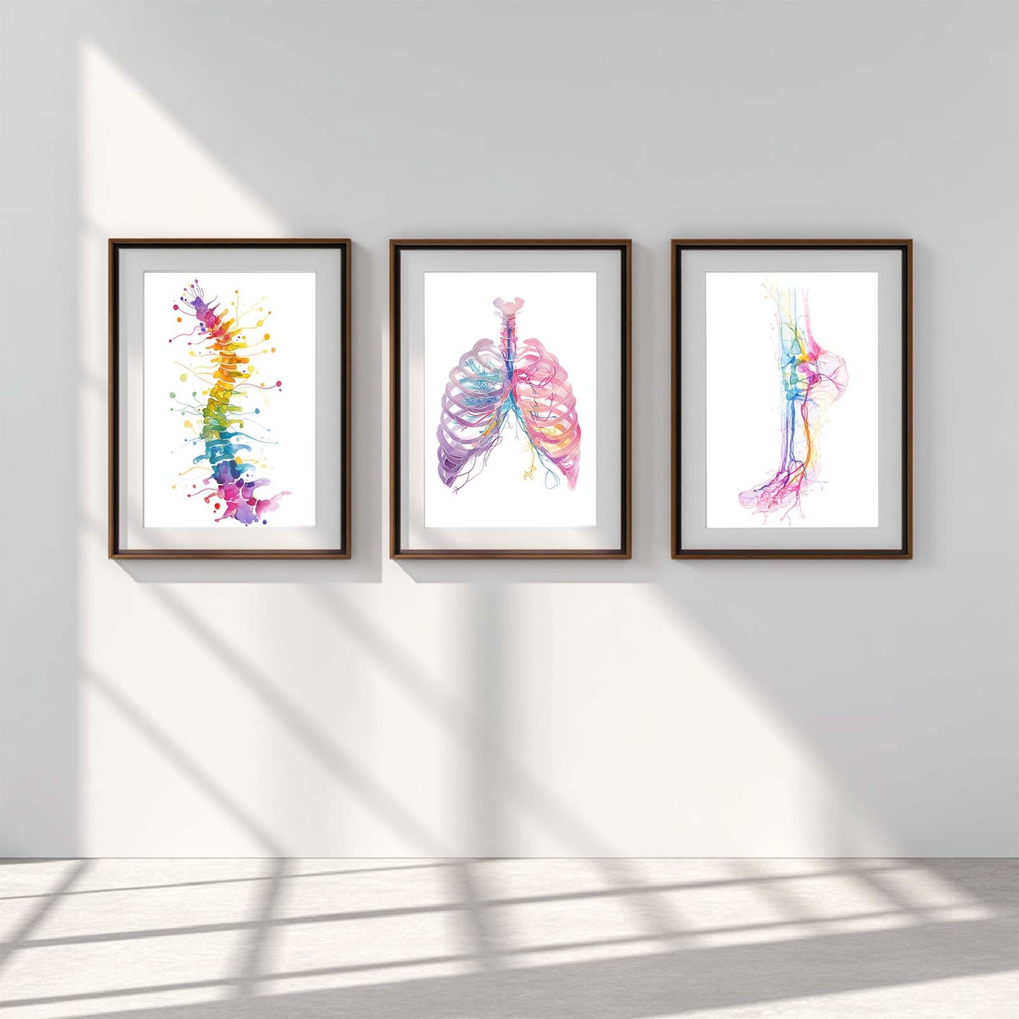 Abstract Medical Anatomy