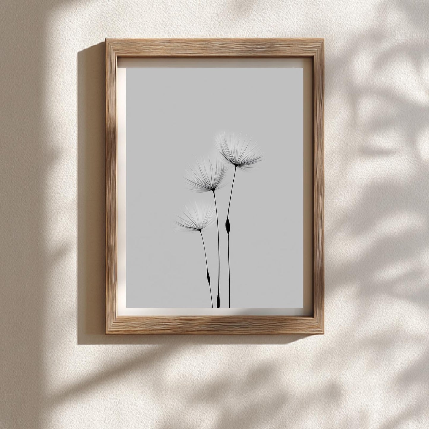 Black and White Dandelion
