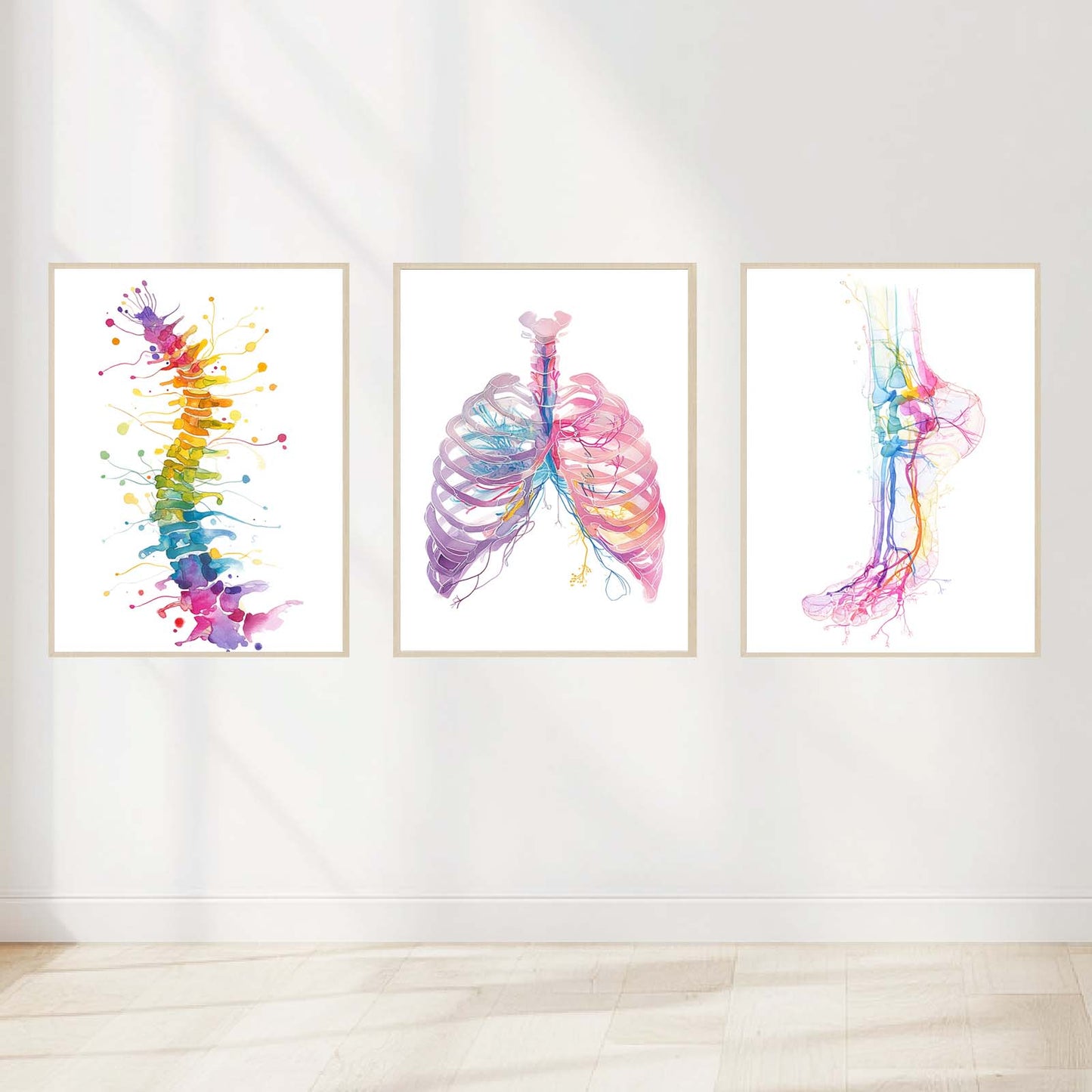 Abstract Medical Anatomy