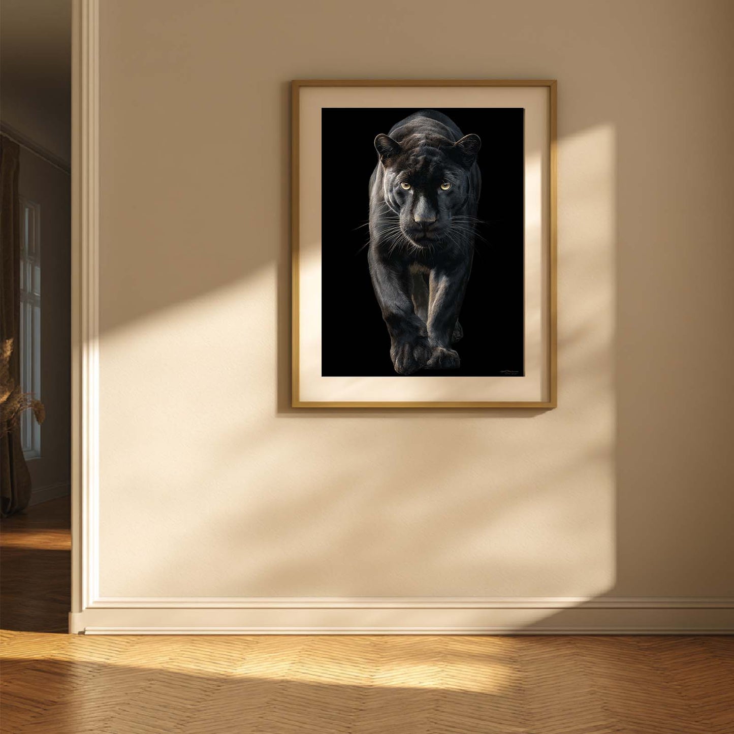 Wild Animals Black Leopard