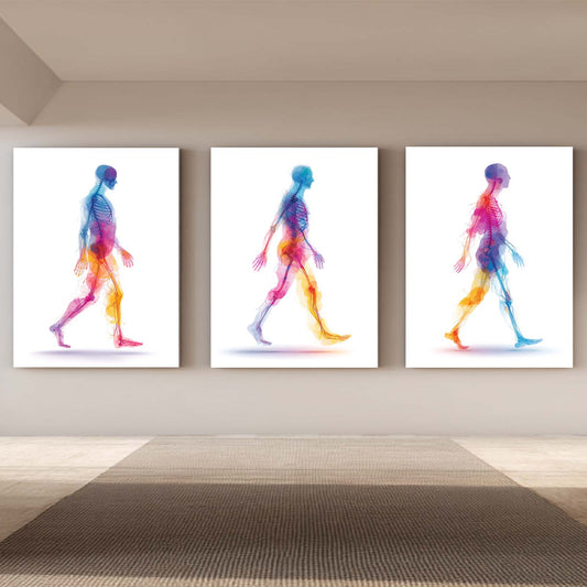 Watercolor Human Anatomy