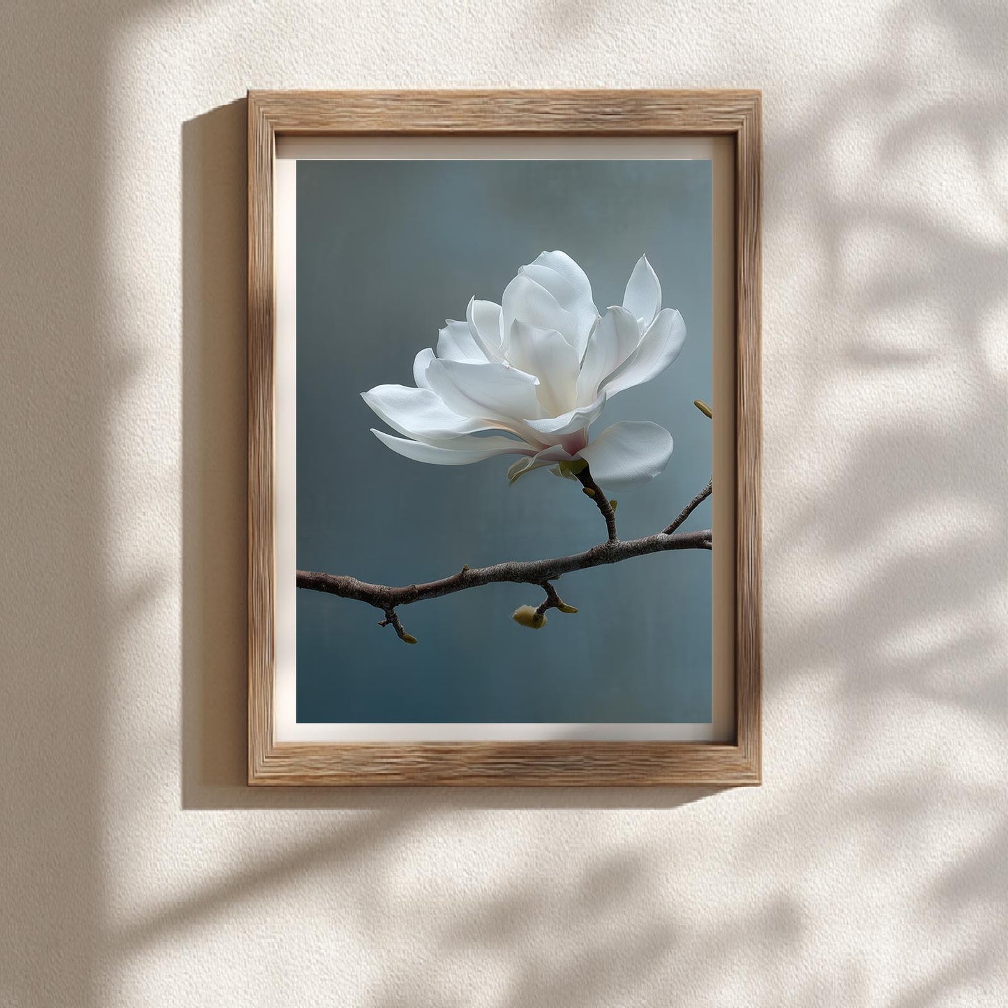 Abstract Magnolia Botanical
