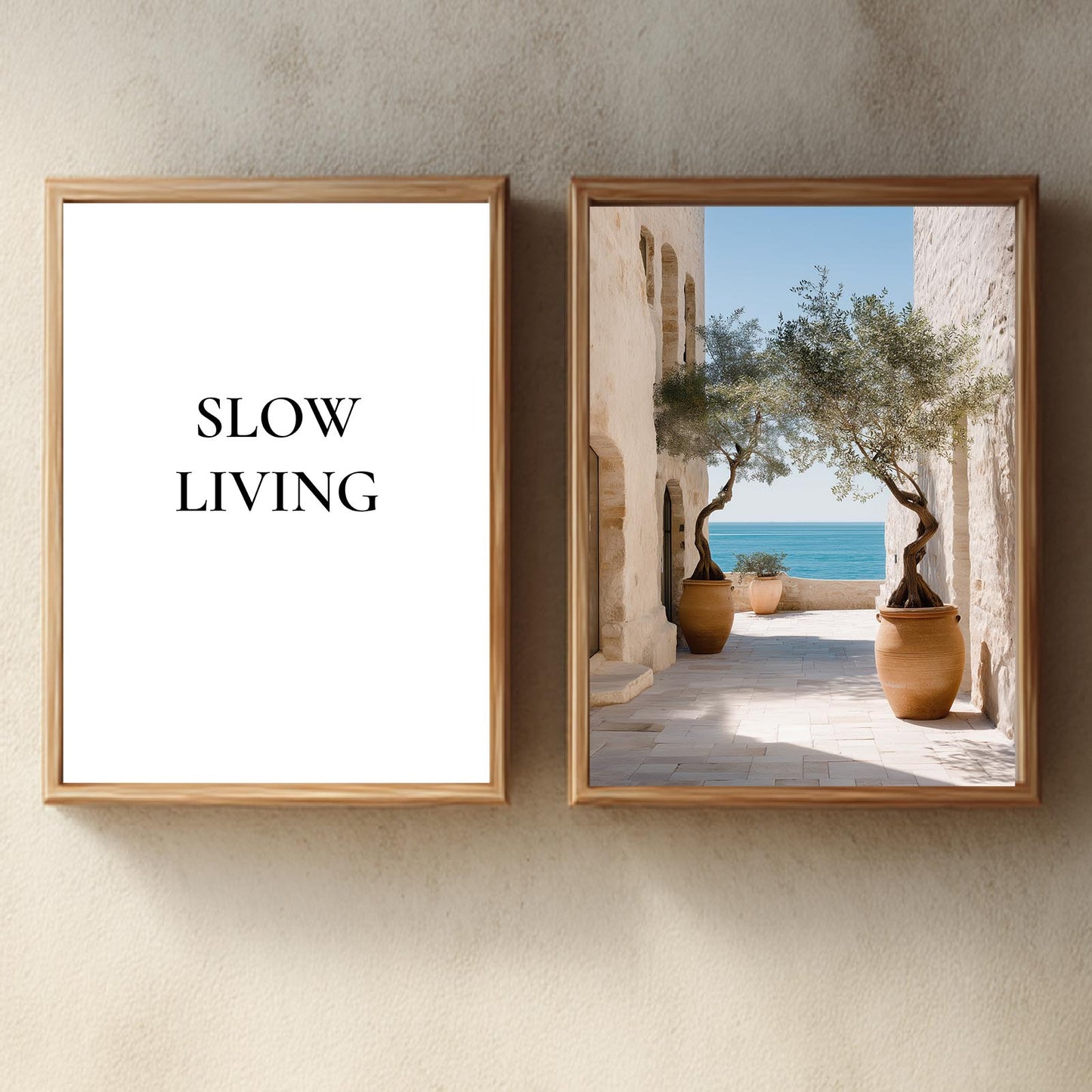 Modern Mediterranean Courtyard Olive Tree