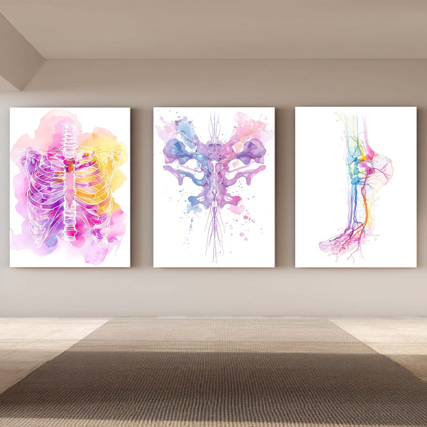 Watercolor Human Anatomy