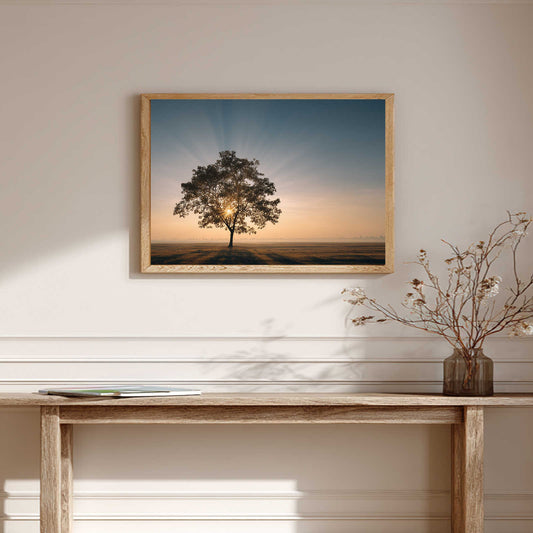 Abstract Landscape Sunrise and Trees Vintage Countryside Scenery