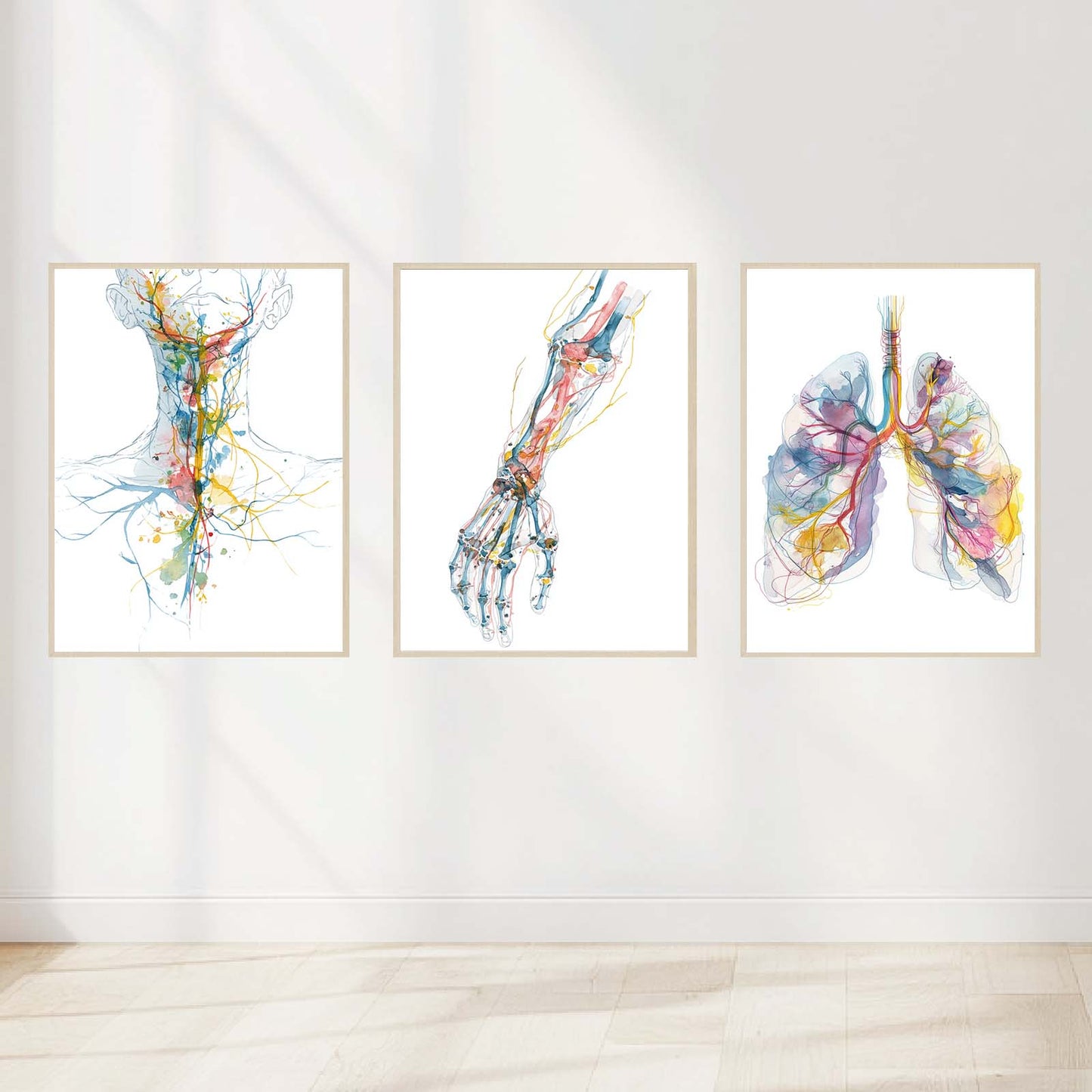 Abstract Medical Anatomy