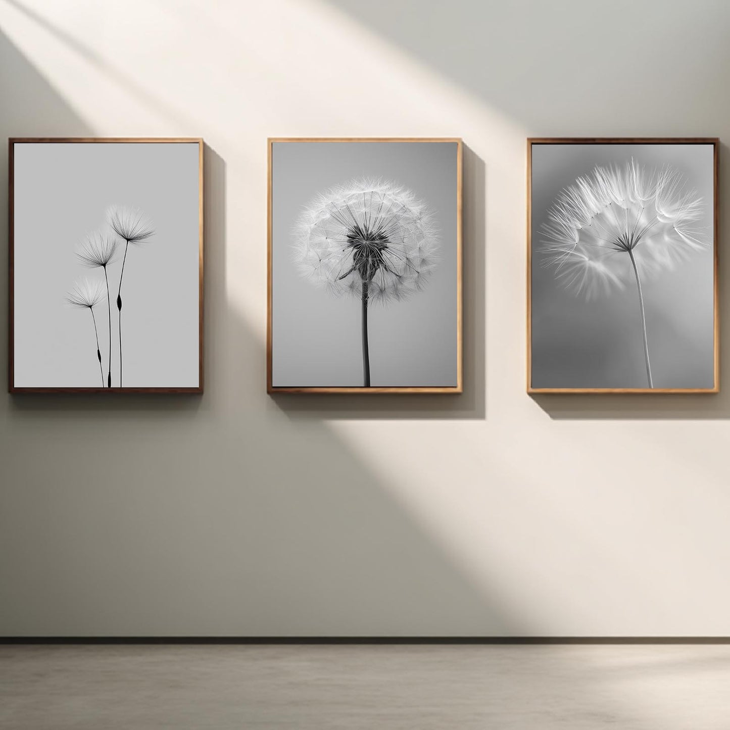 Black and White Dandelion